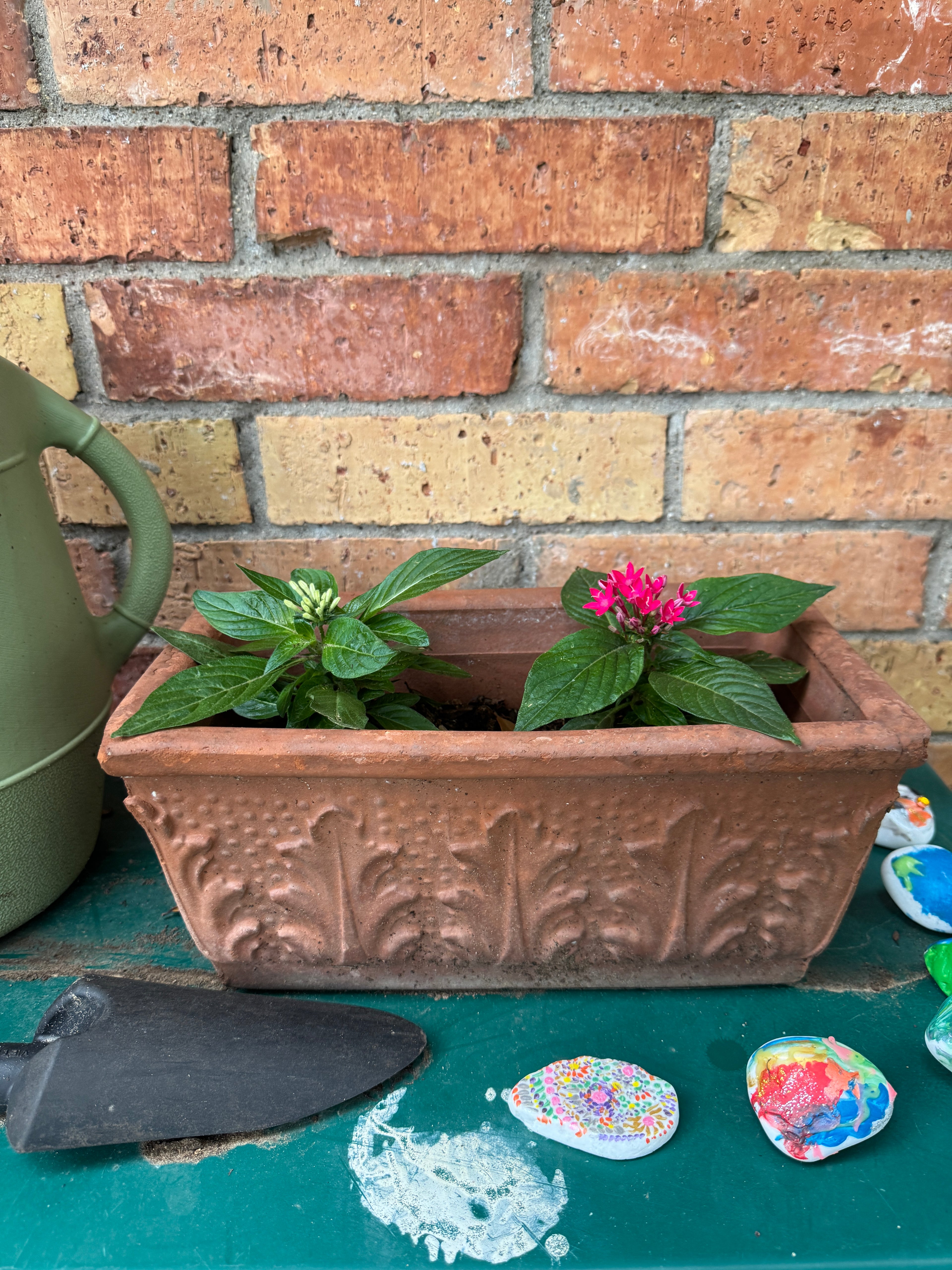 Ceramic pot