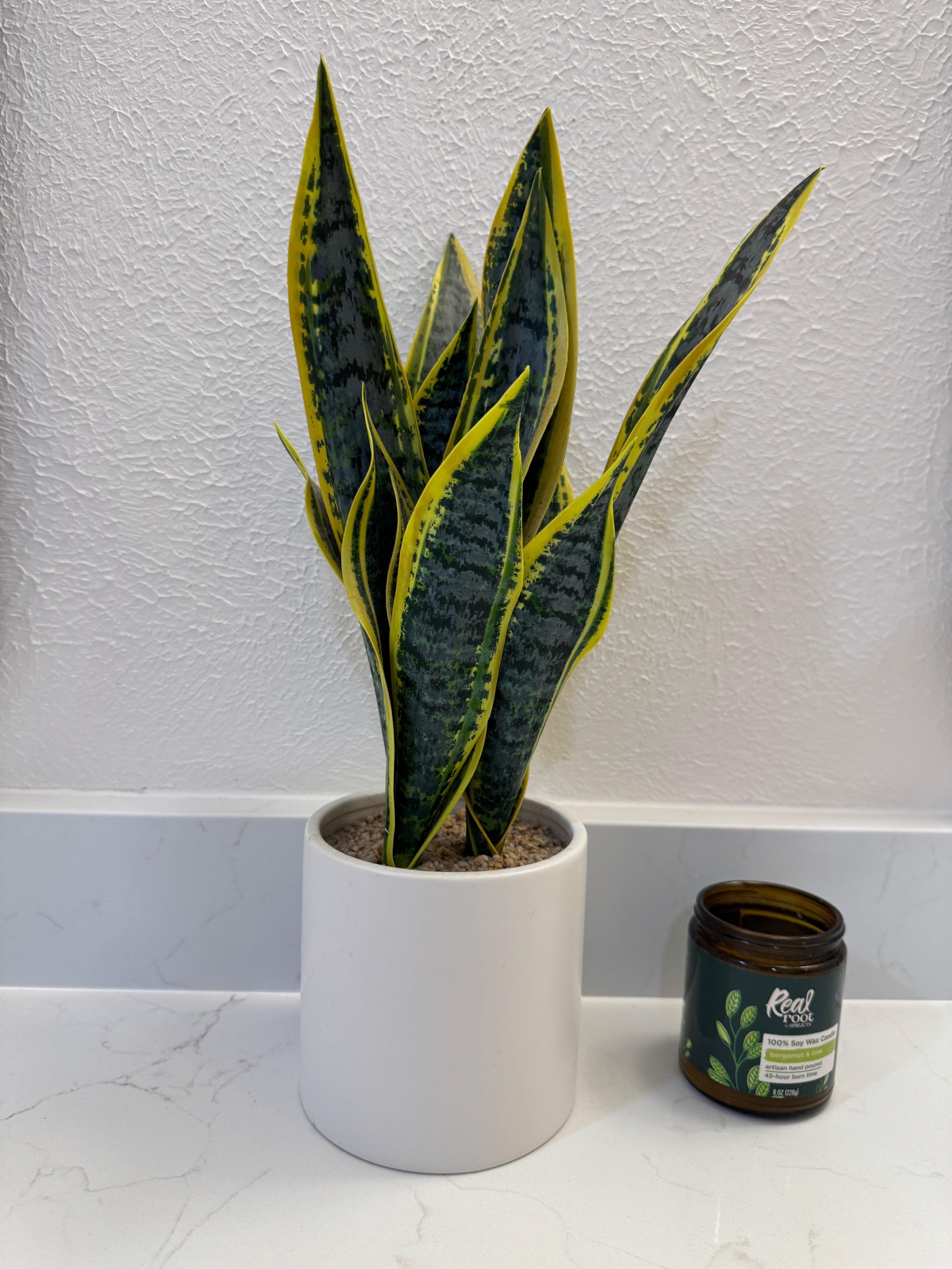Faux snake plant