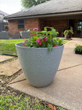 Pot with flowers