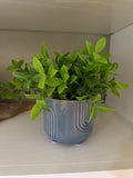 Faux plant in light blue pot