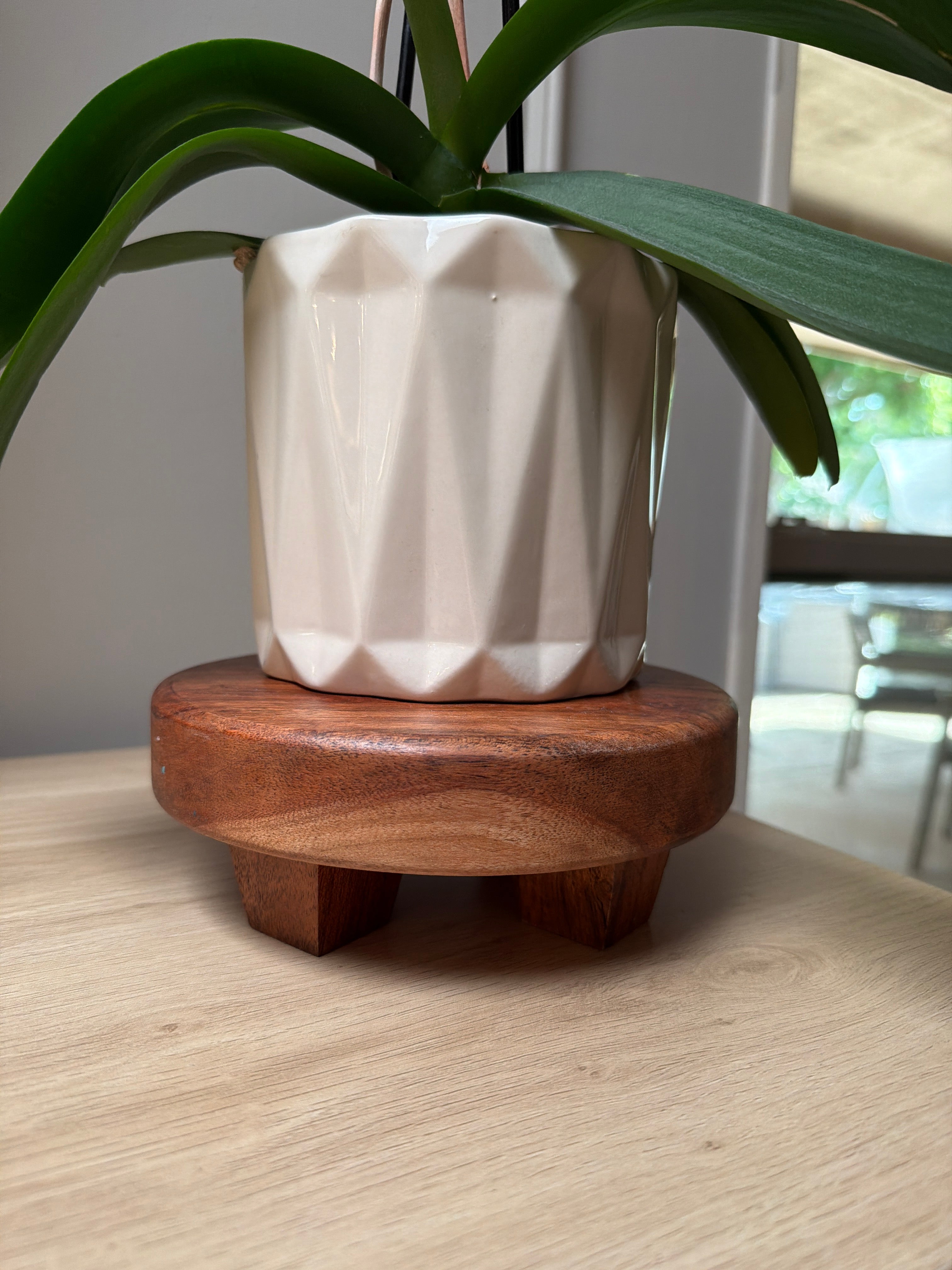 Wood plant stand