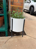 White plant pot
