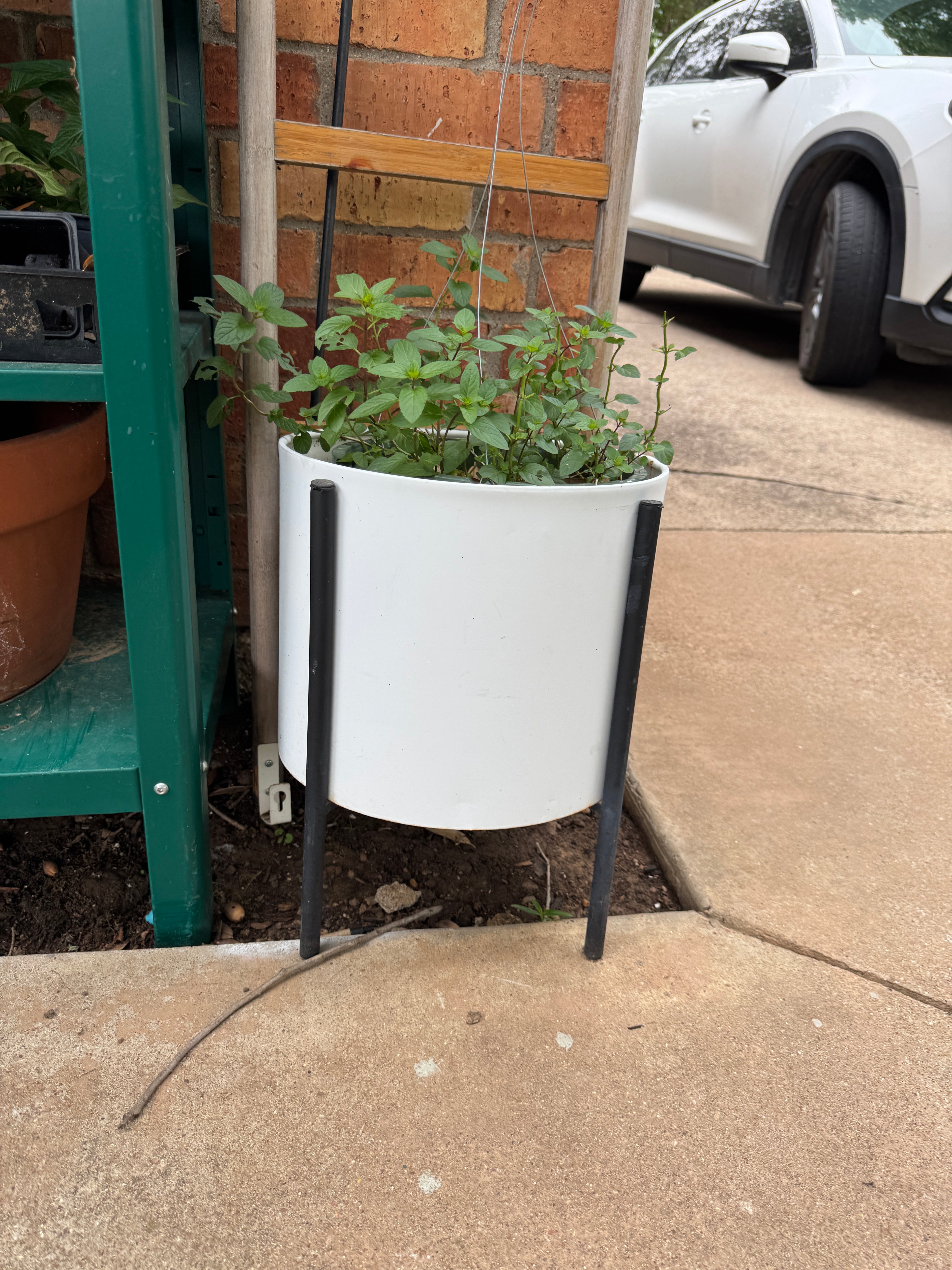 White plant pot