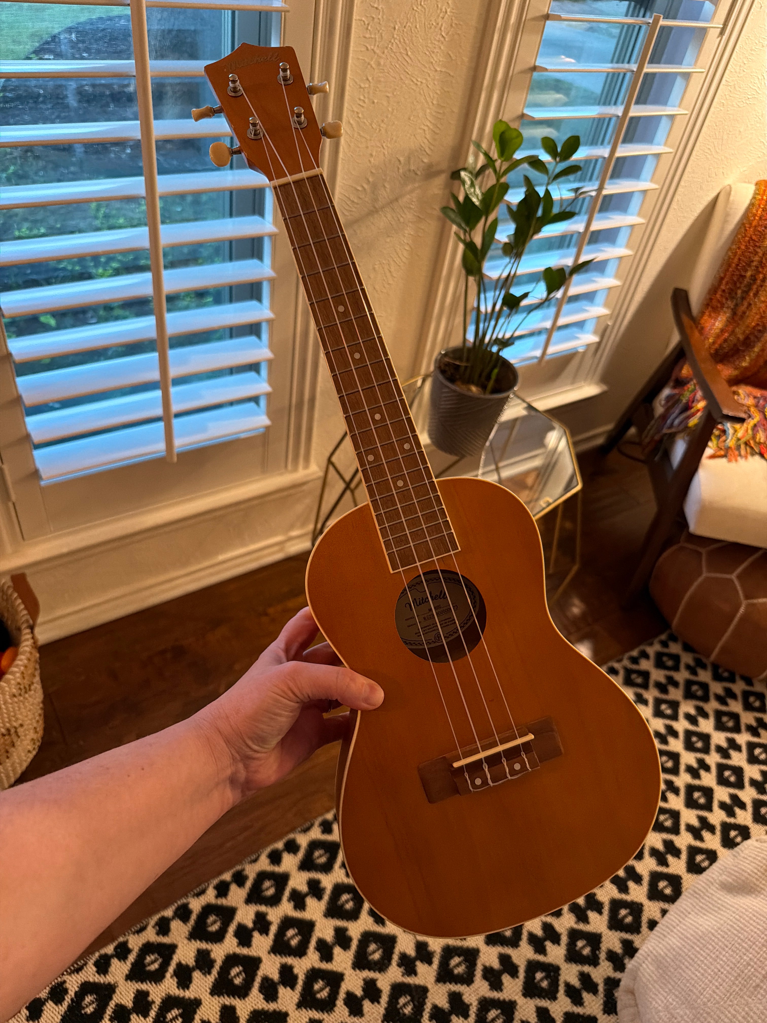 Mitchell Ukulele