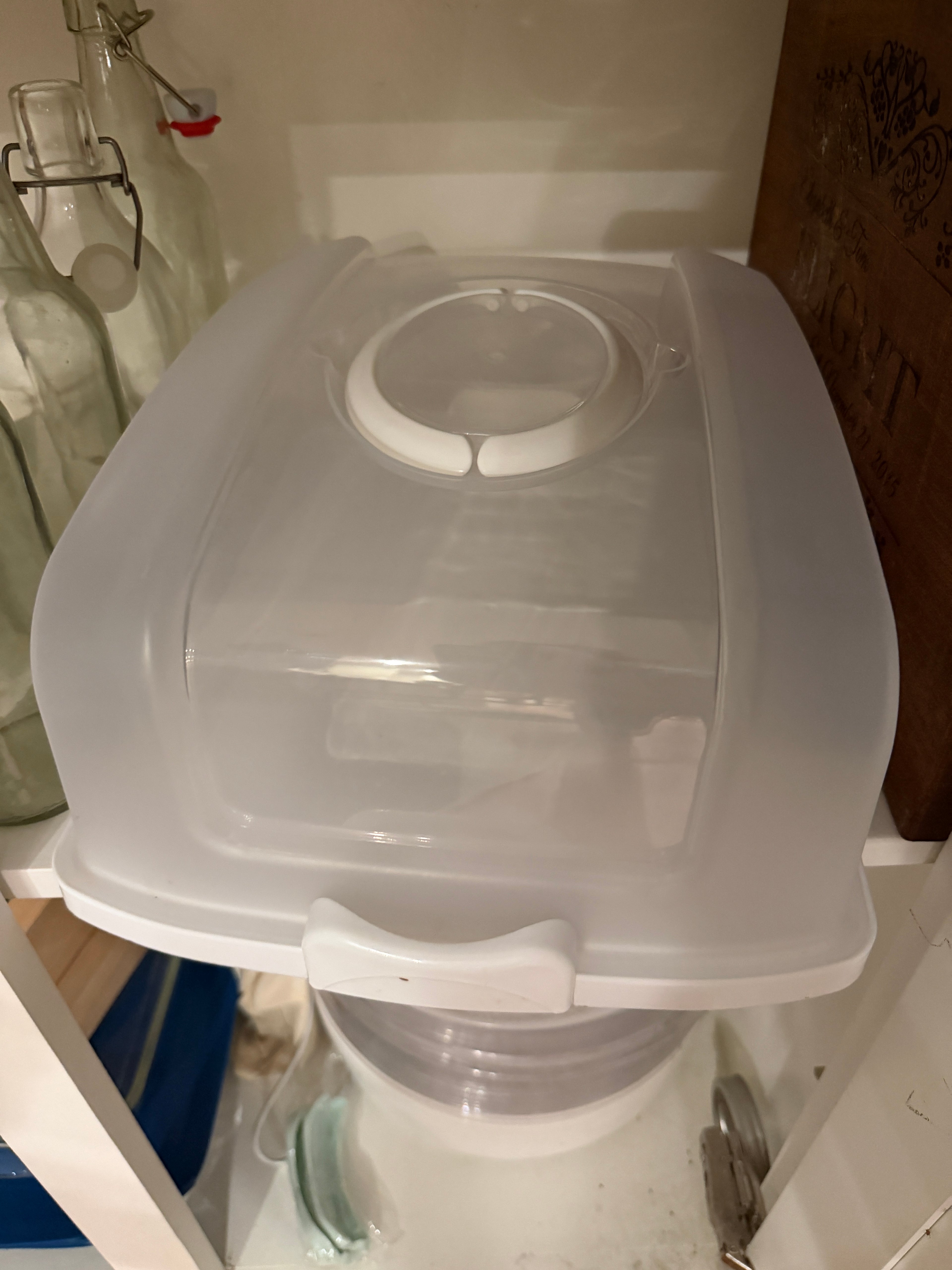 Cupcake & Cake Carrier